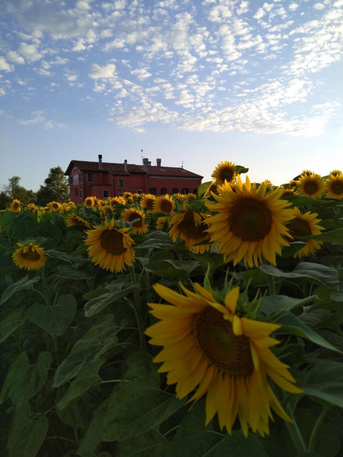 Quadrifoglio Relax Country house